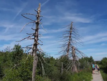 Signal de Botrange (Belgium)